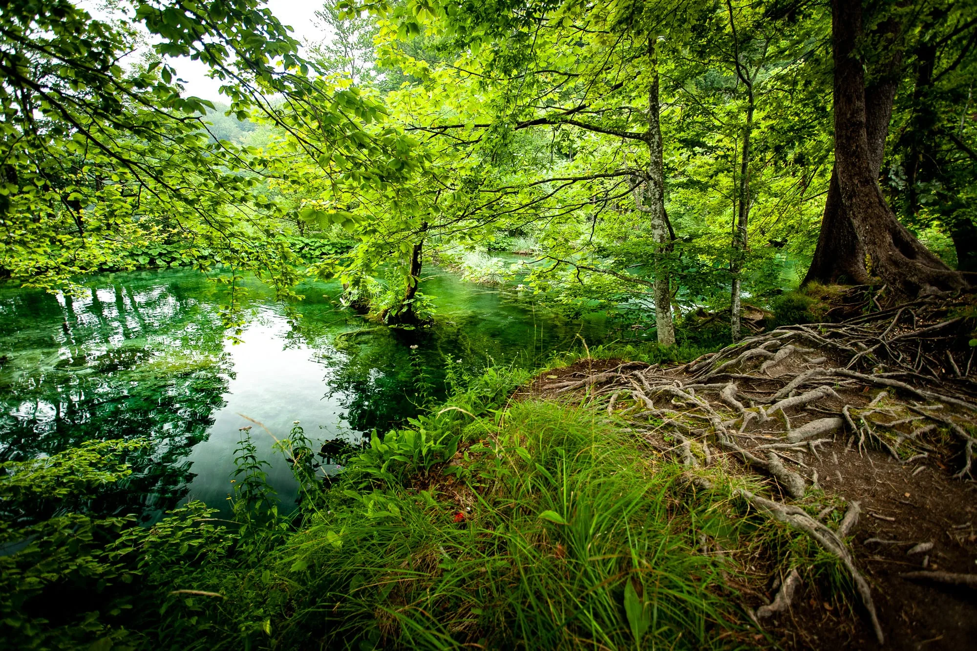 Coin de sérénité au bord de l'eau