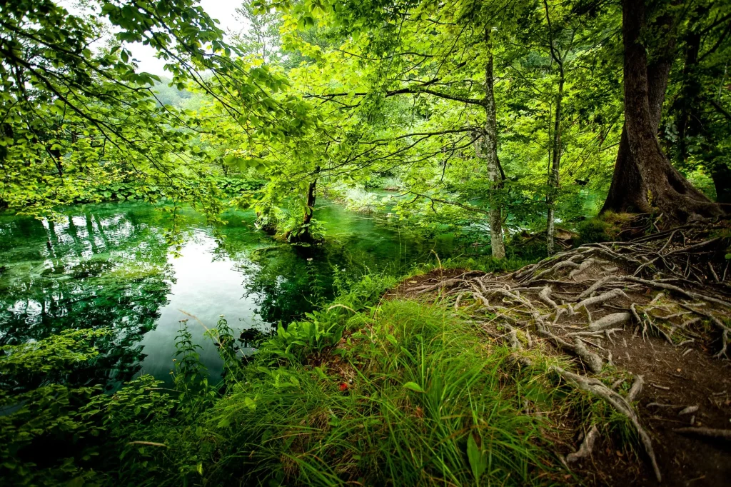 Coin de sérénité au bord de l'eau
