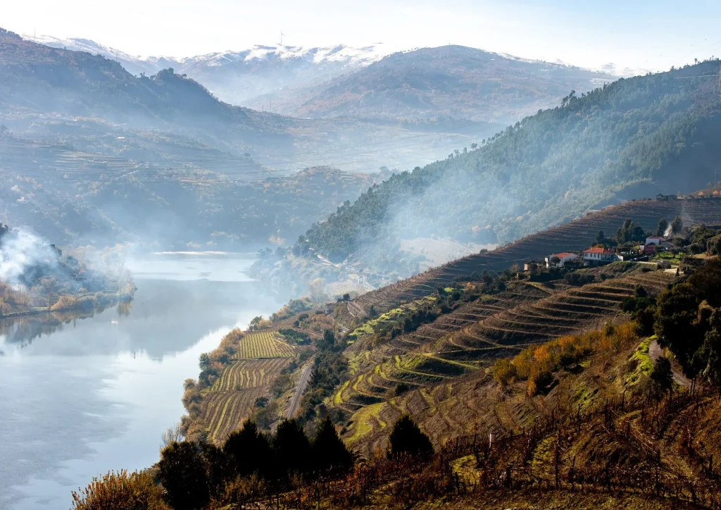 Vallée du Douro dans la brume, vignes en terrasses au-dessus du fleuve