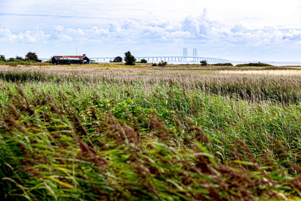 Campagne danoise