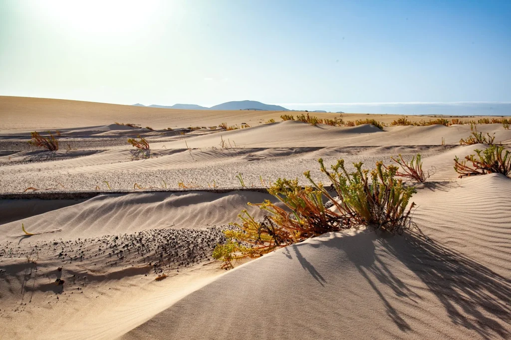 Lanzarote