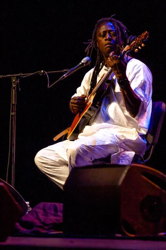 Habib Koité & Eric Bibb au Rocher de Palmer