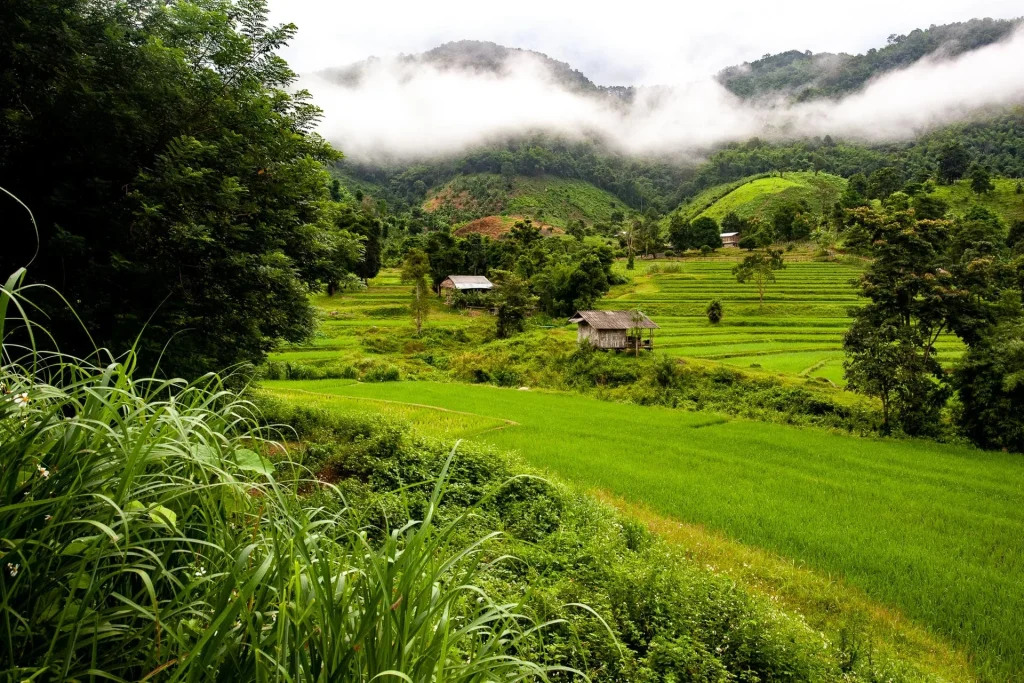 Thaïlande, 2017
